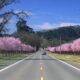Springtime Driving Safety Tips